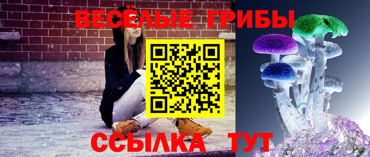 Псилоцибиновые грибы прущие грибы Ярцево