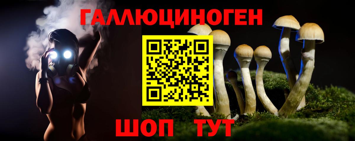 Ярцево  Галлюциногенные грибы мухоморы  Вход с VPN  Псилоцибиновые грибы Psilocybe 